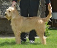 [Photo]